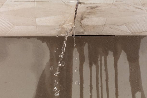 Professional Water Damage Inspection technician working in West Newbury, MA